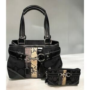 Y2K Coach 10262 Hamptons Signature Python Stripe Satchel Bag & Pouch